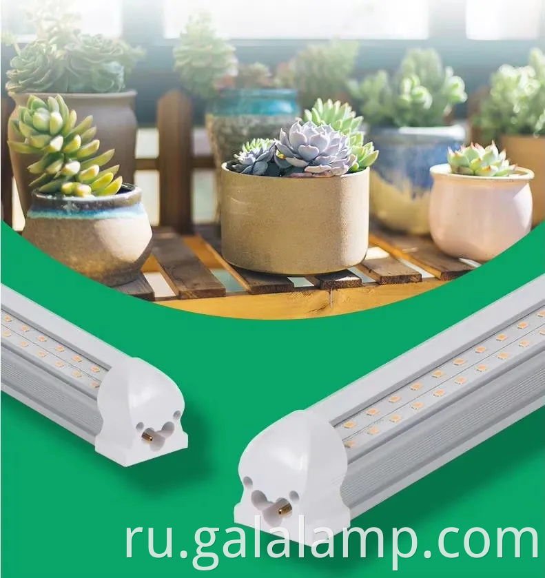 Выращивать саженцы, добавка света для роста, полный спектр T5 Light Light